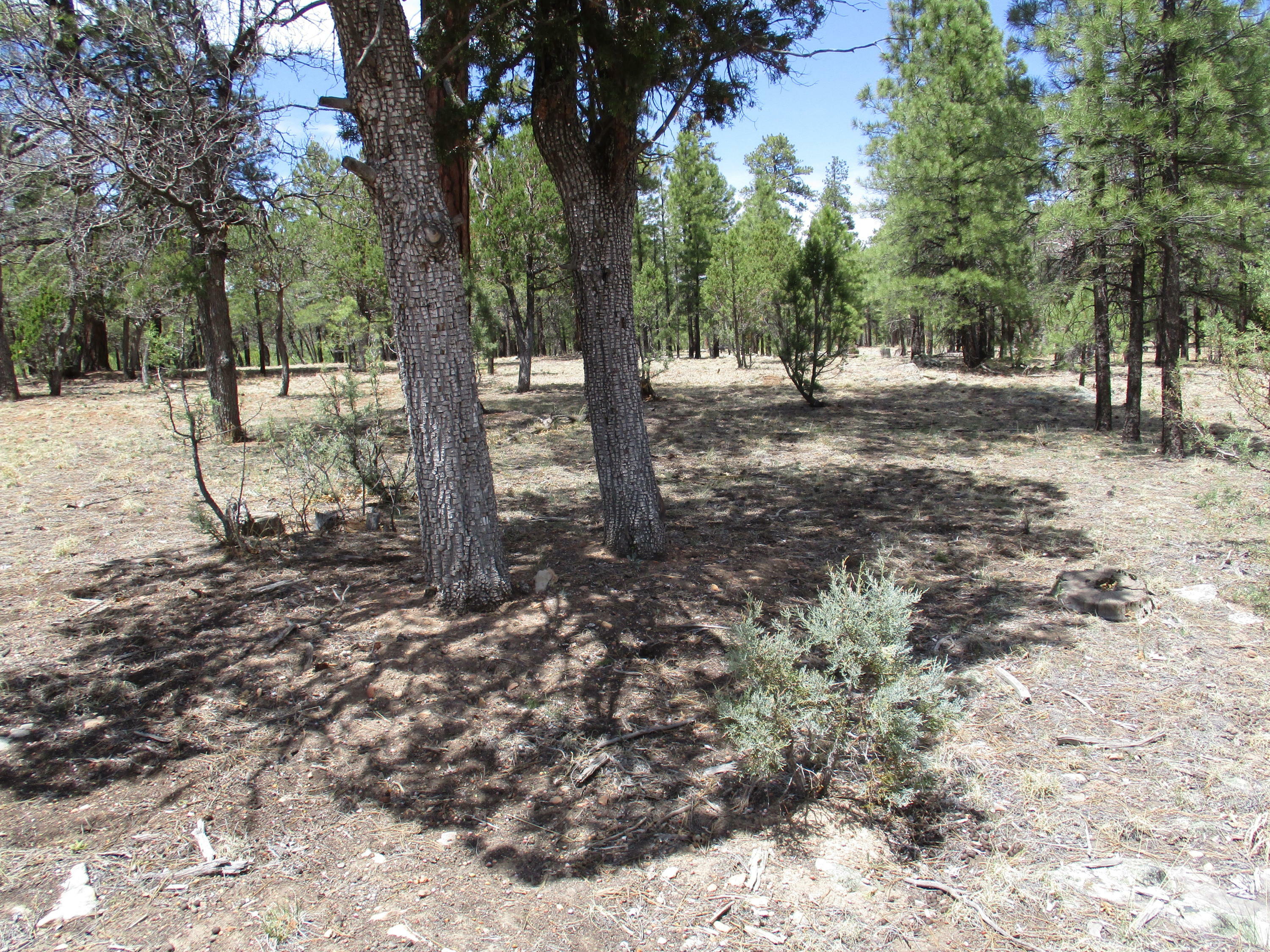 Property Photo:  5227 Taos Circle  AZ 86024 