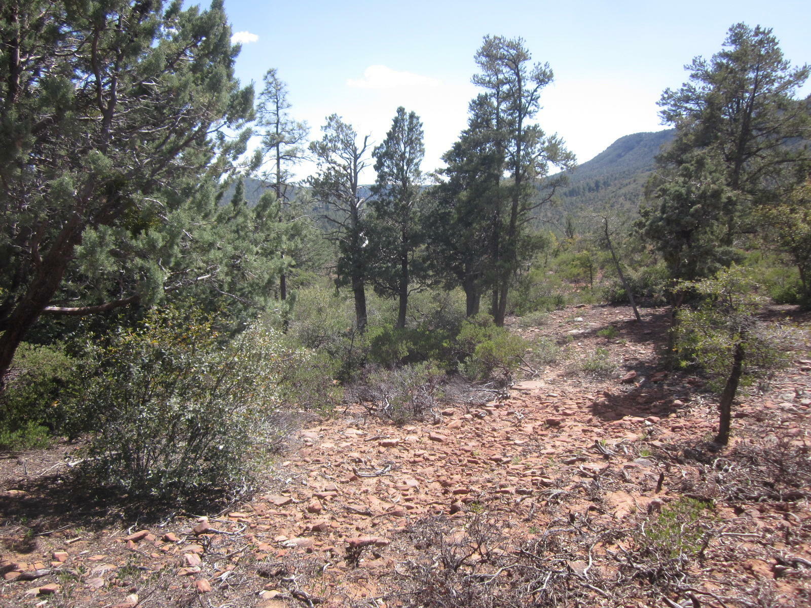 Property Photo:  Lot 78 Turquoise Circle Circle  AZ 85544 