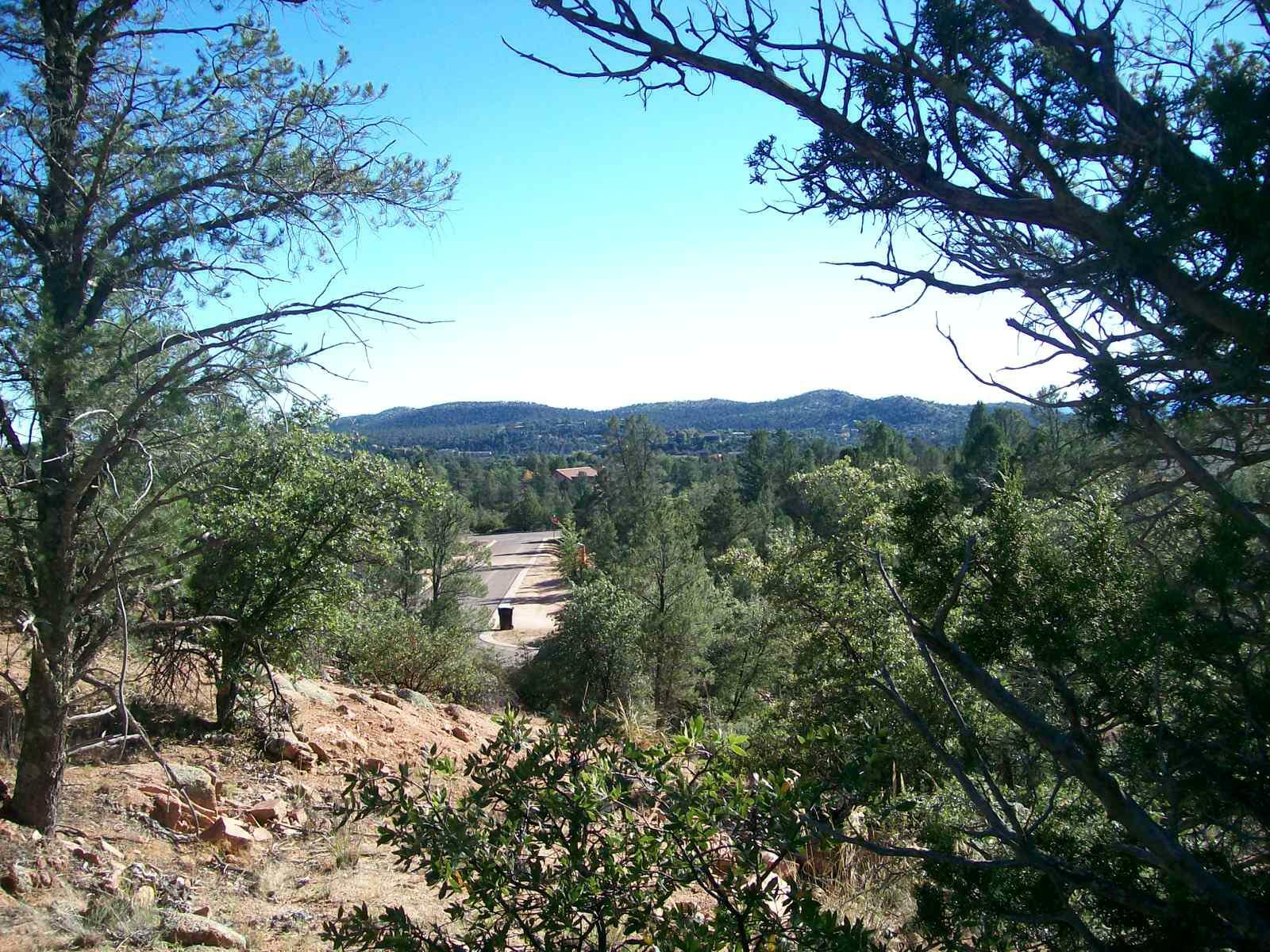 304 N Antelope Point  Payson AZ 85541 photo