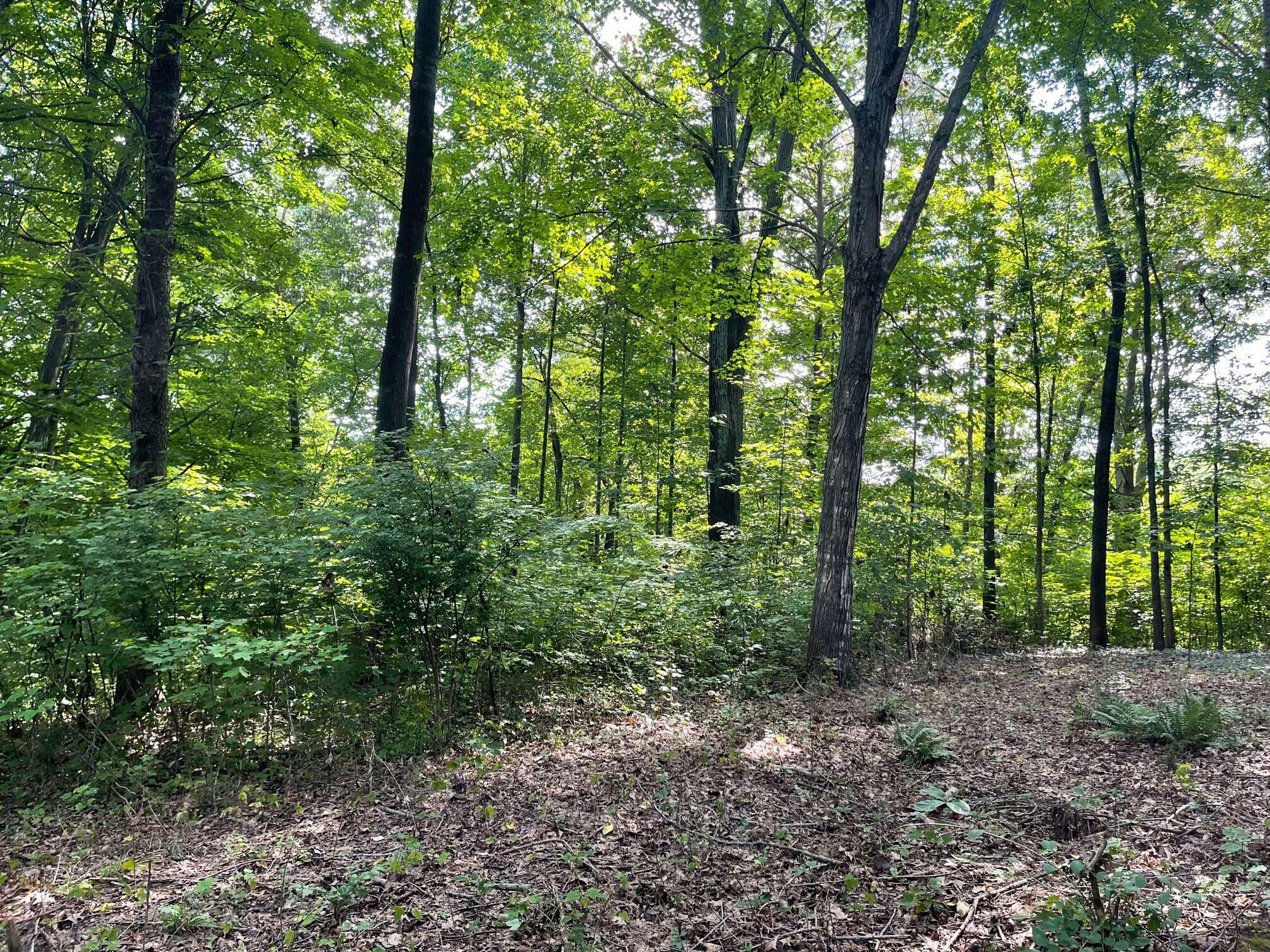 Property Photo:  1.13ac Skyview Lane  TN 37745 