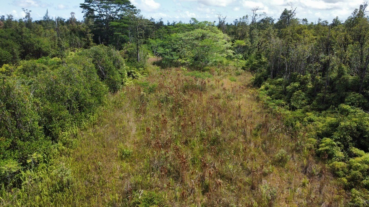 Property Photo:  Pikake St  HI 96771 