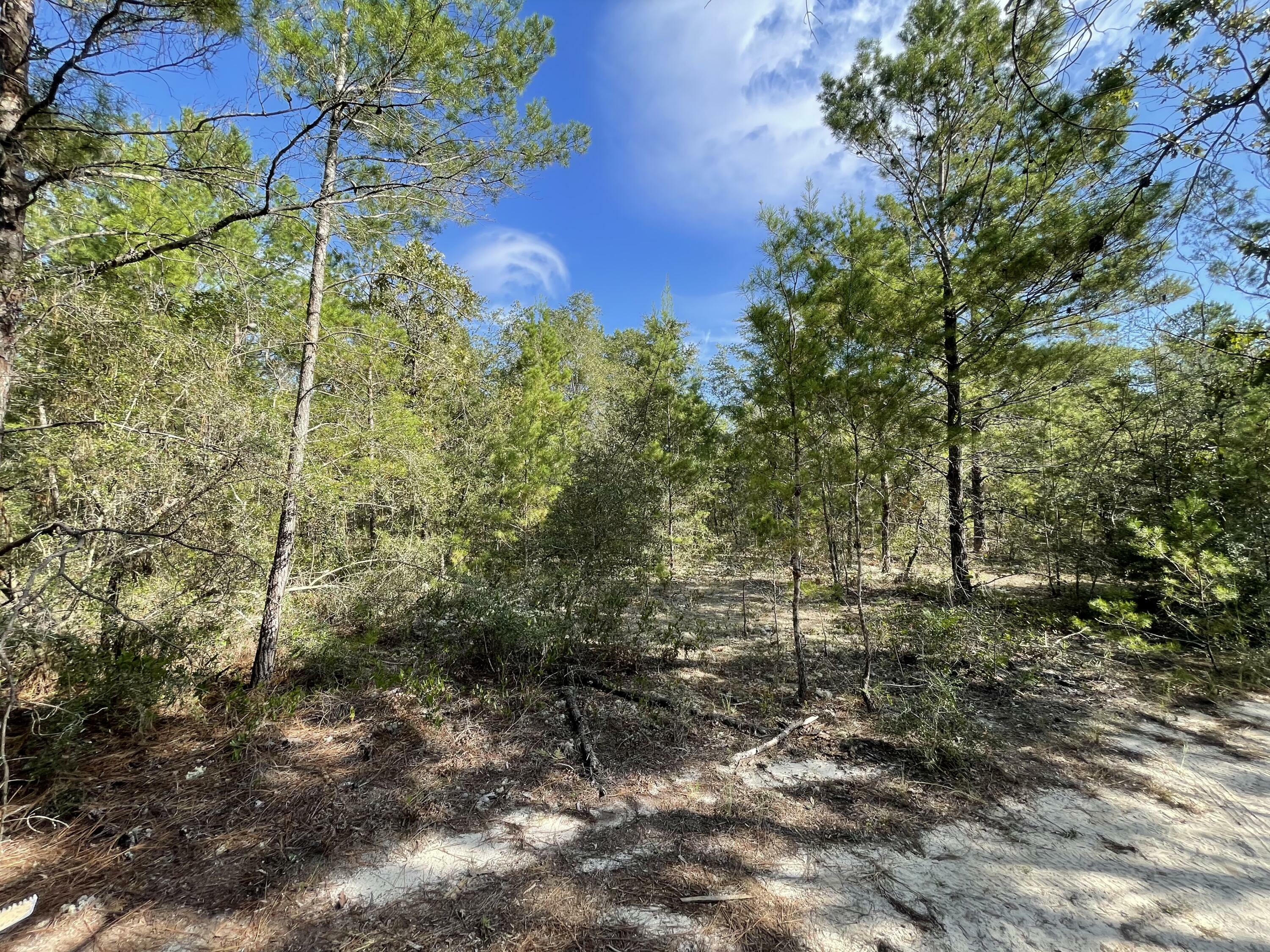 Property Photo:  Lot 33 E Black Cherry Drive Oakwood Hills Ii Blk 30  FL 32433 