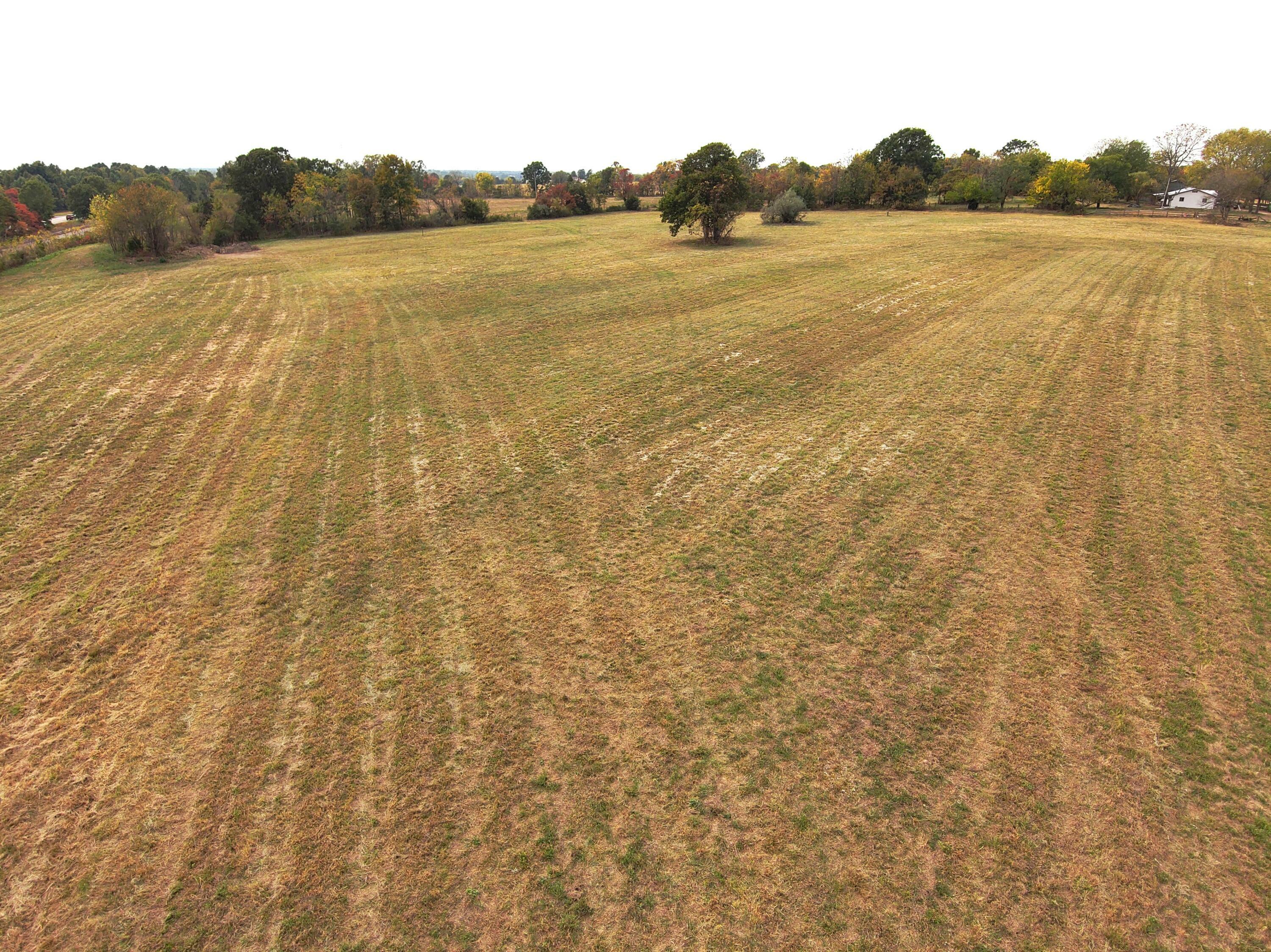 Property Photo:  Tract 1 Highway 60  MO 65610 