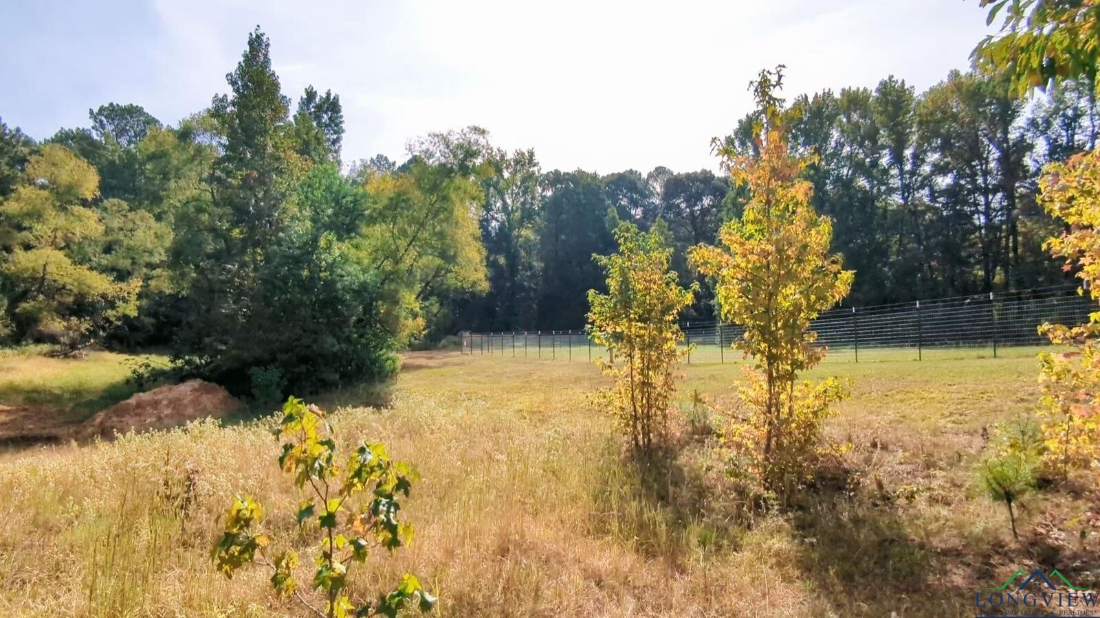 Property Photo:  14384 N County Road 2125 14384 N Cr 2125  TX 75652 