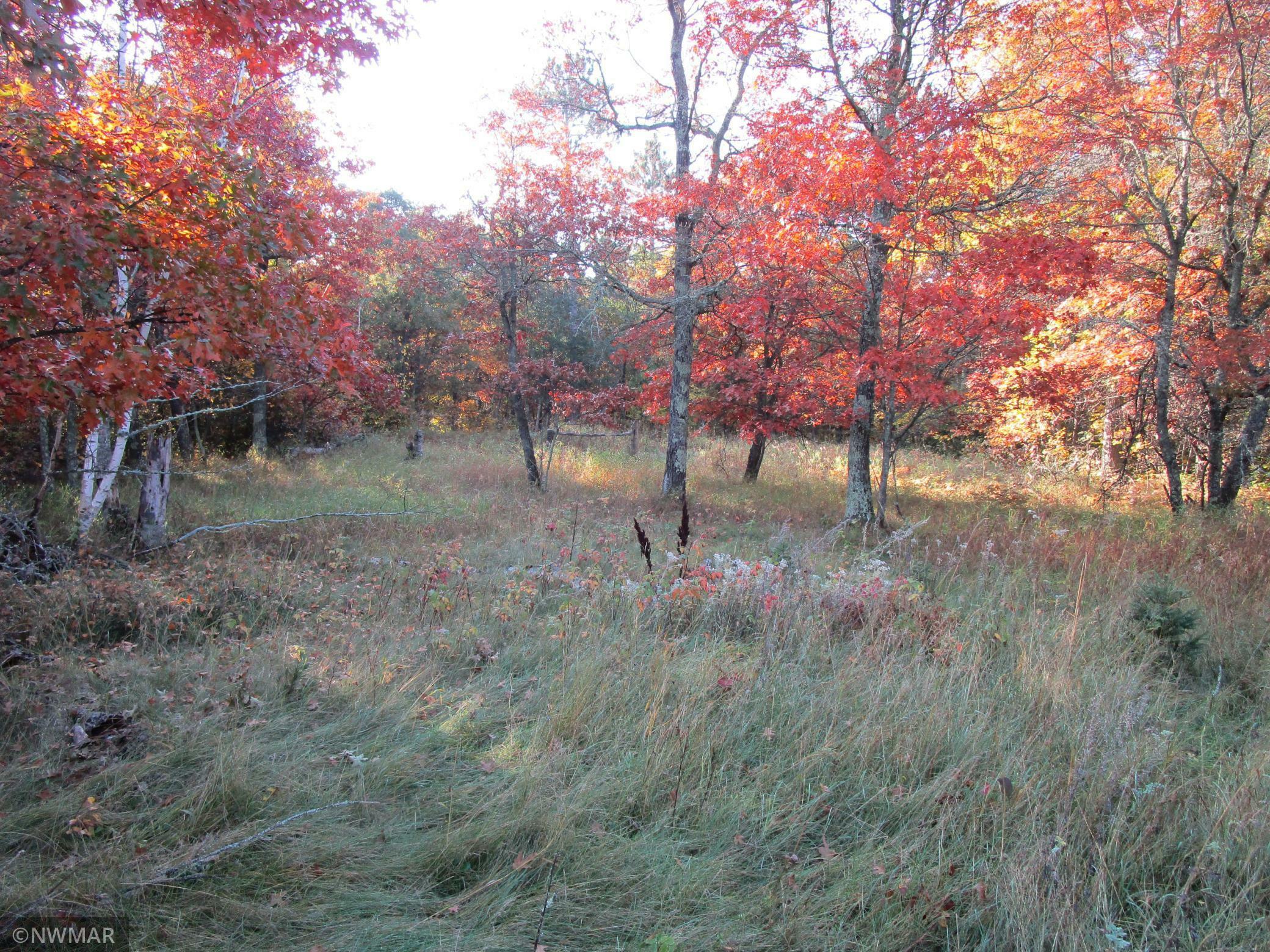 Property Photo: 4910 Whitetail Road NE MN 56601