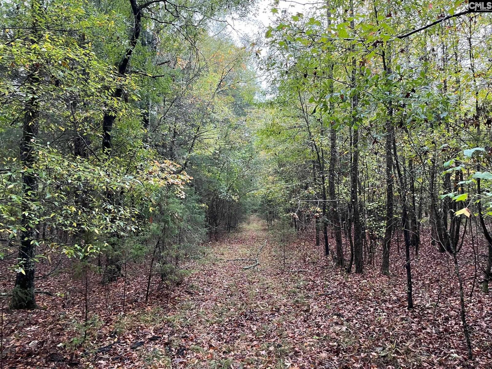 Property Photo:  2788 Denny Hwy  SC 29138 