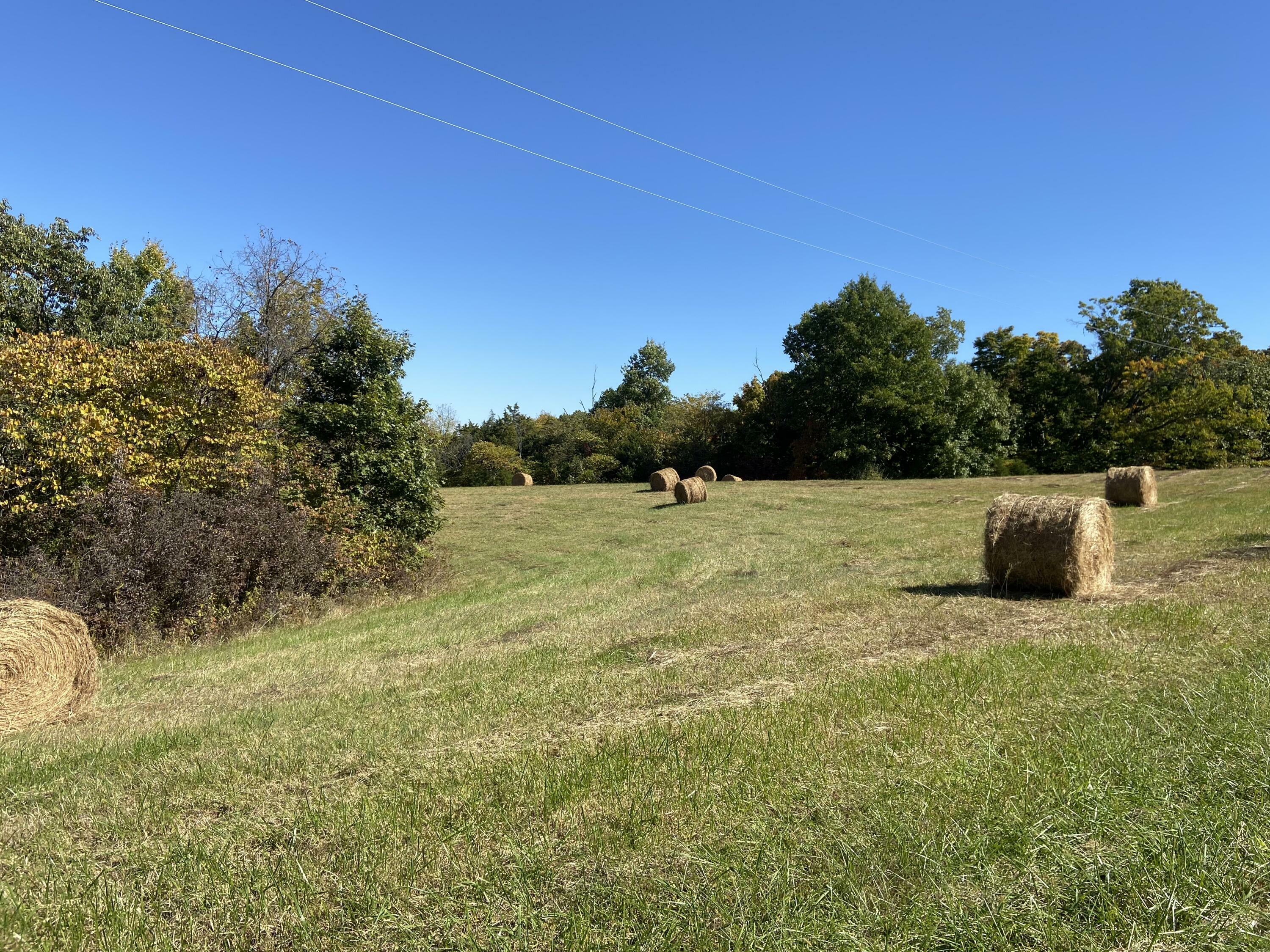 Property Photo:  00 Little Dixie Road  KY 40057 