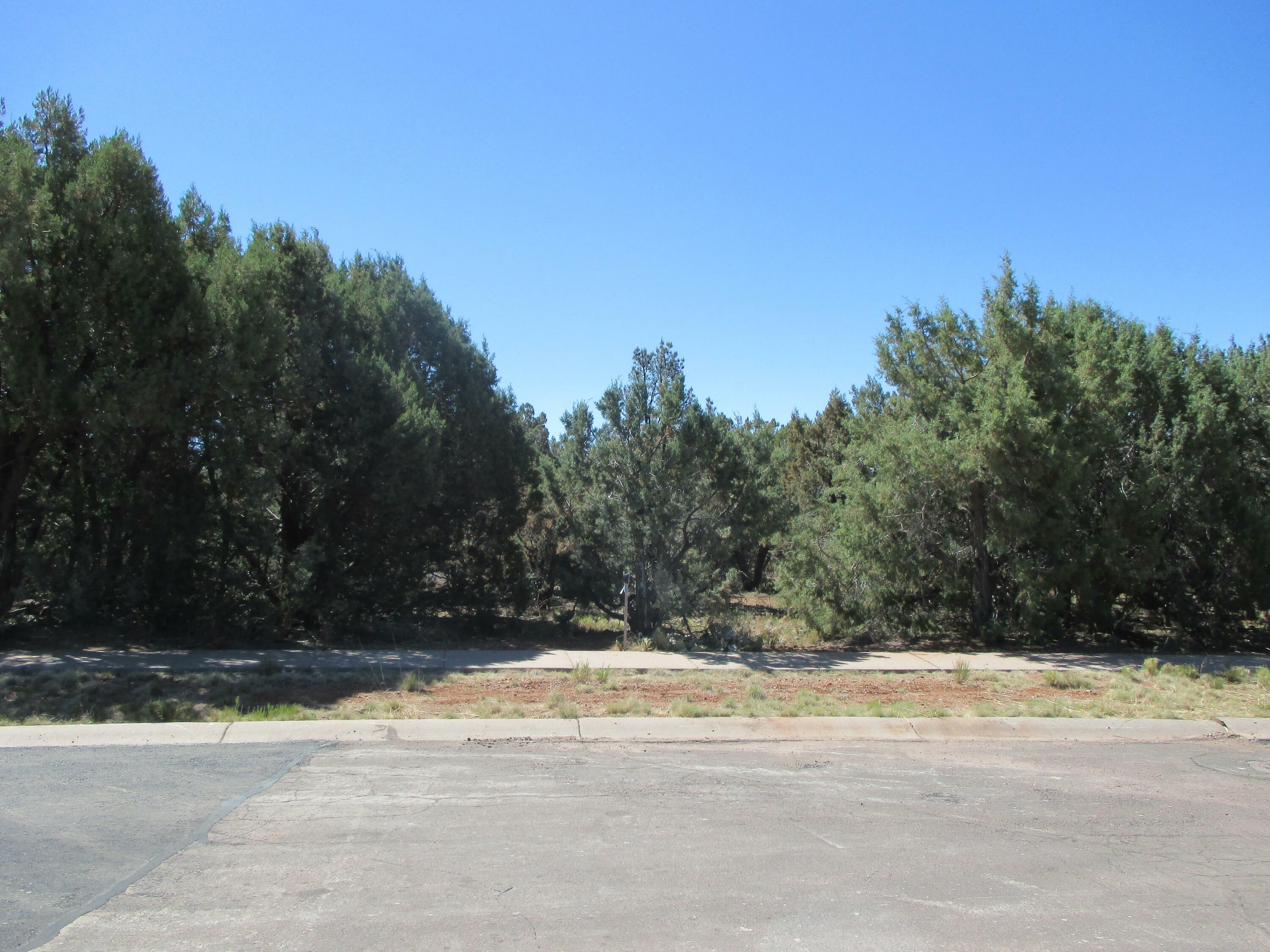 Property Photo:  1503 W Cloud Nine Parkway  AZ 85541 