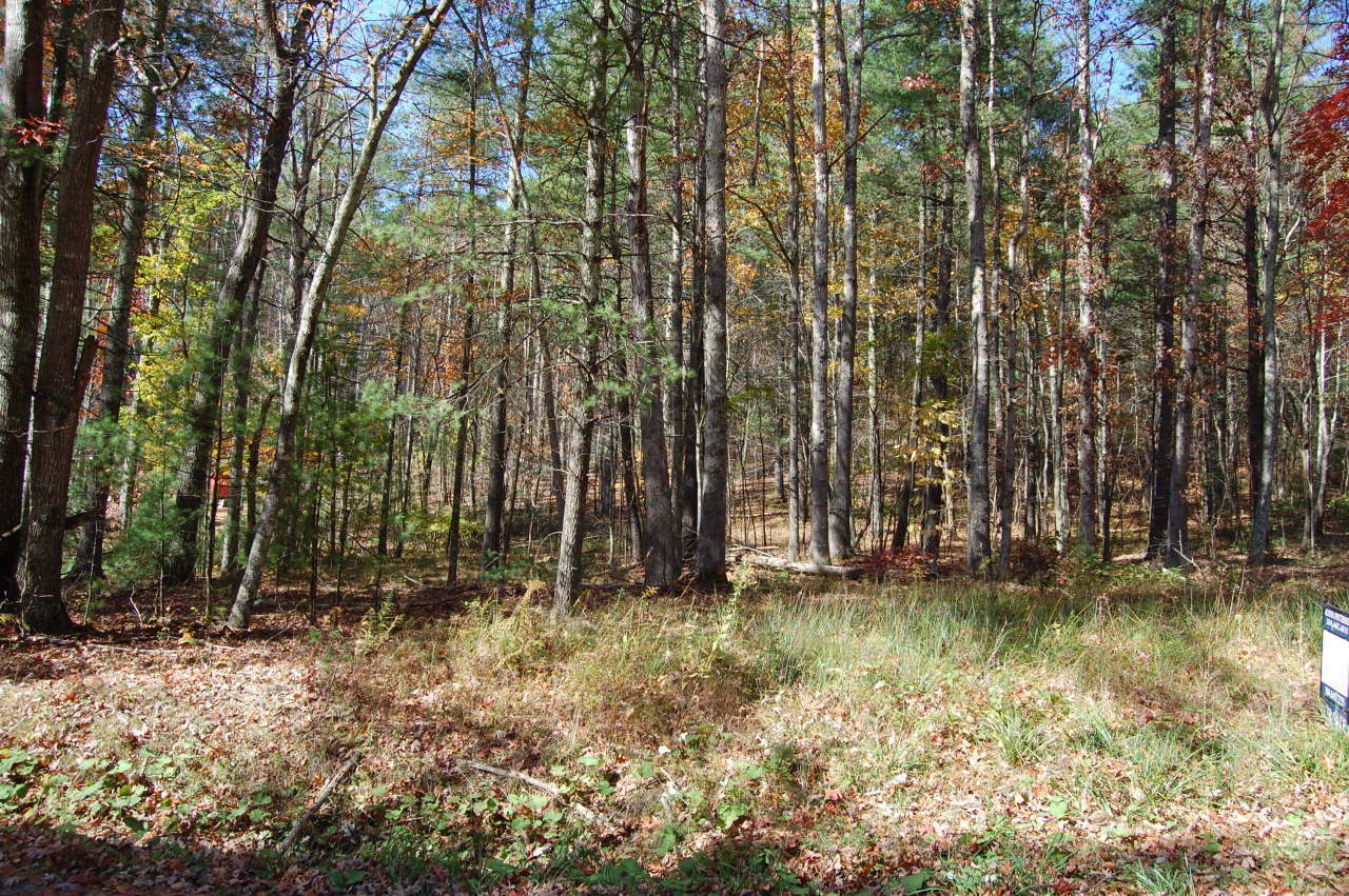 Property Photo:  2010 Moncove Lake Access Road  WV 24941 