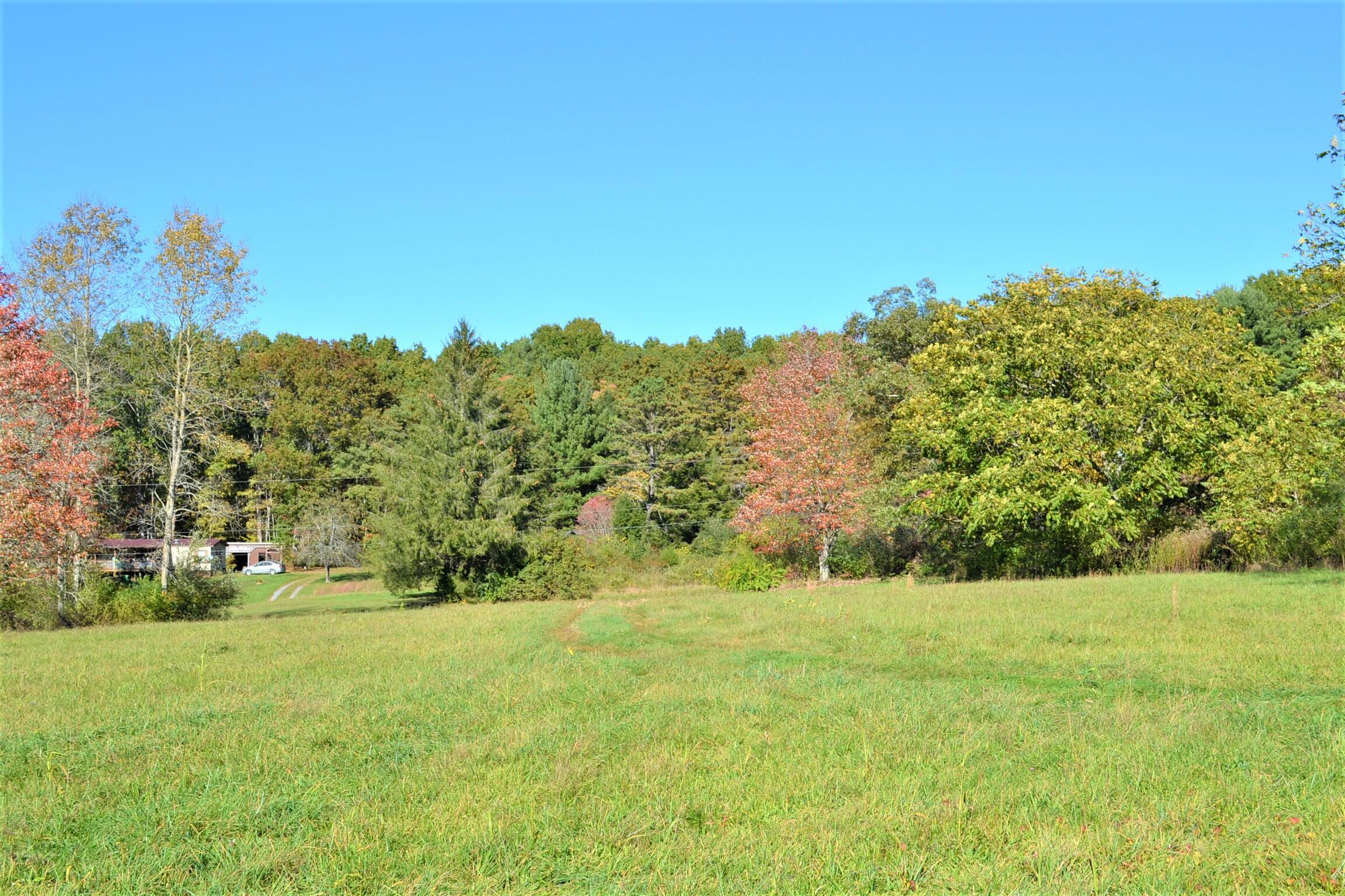 Property Photo:  Coleman Cliff Road  WV 24938 