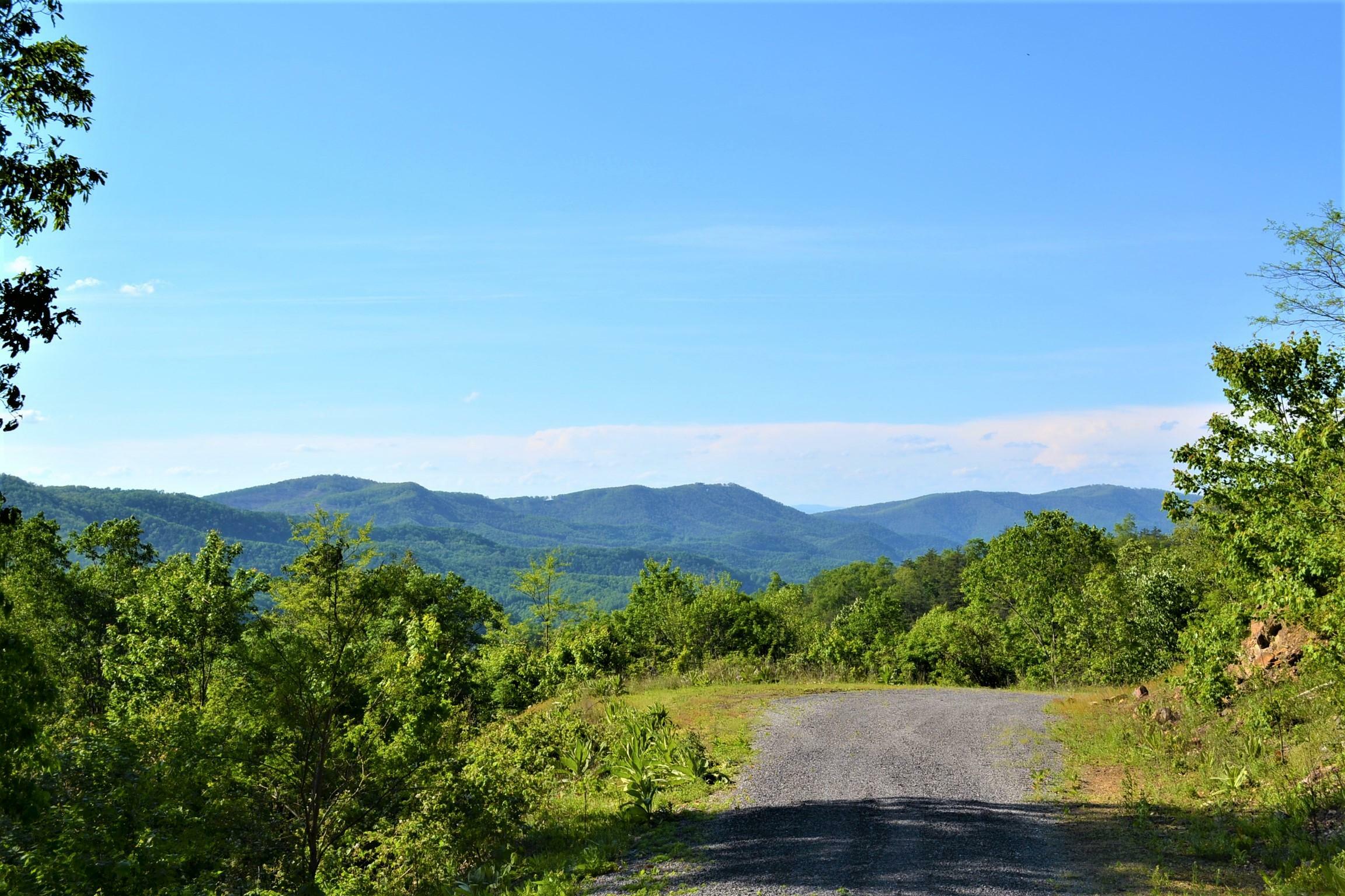 Property Photo:  Katy Drive Overlook At Greenbrier  WV 24986 
