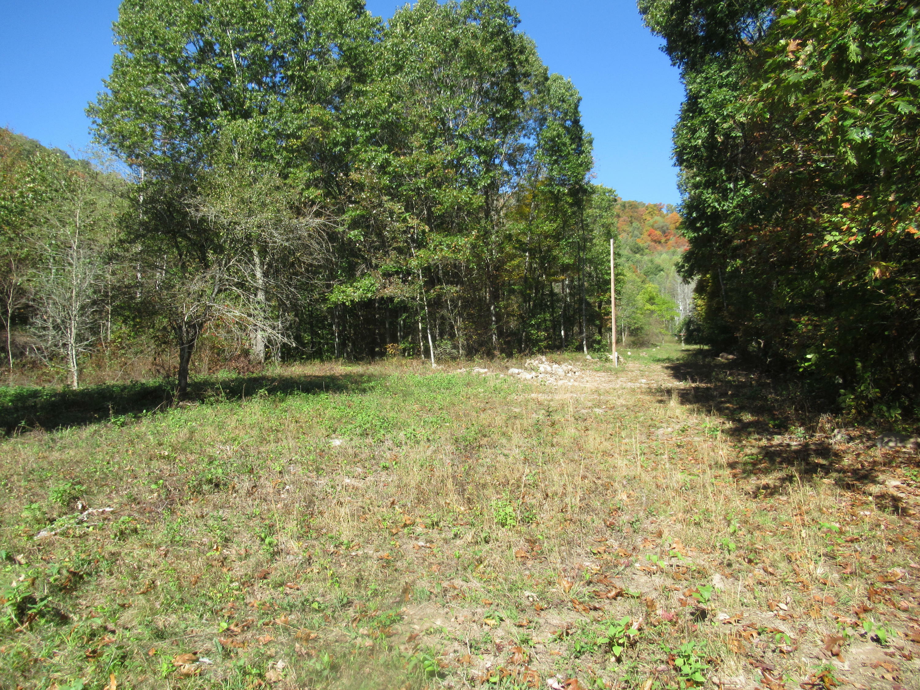 Property Photo:  George Ballengee Road  WV 24910 