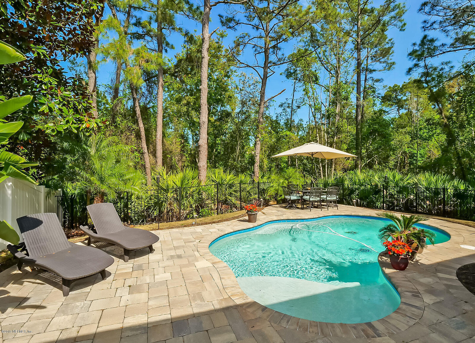 Property Photo: 205 Carmine Lane FL 32095