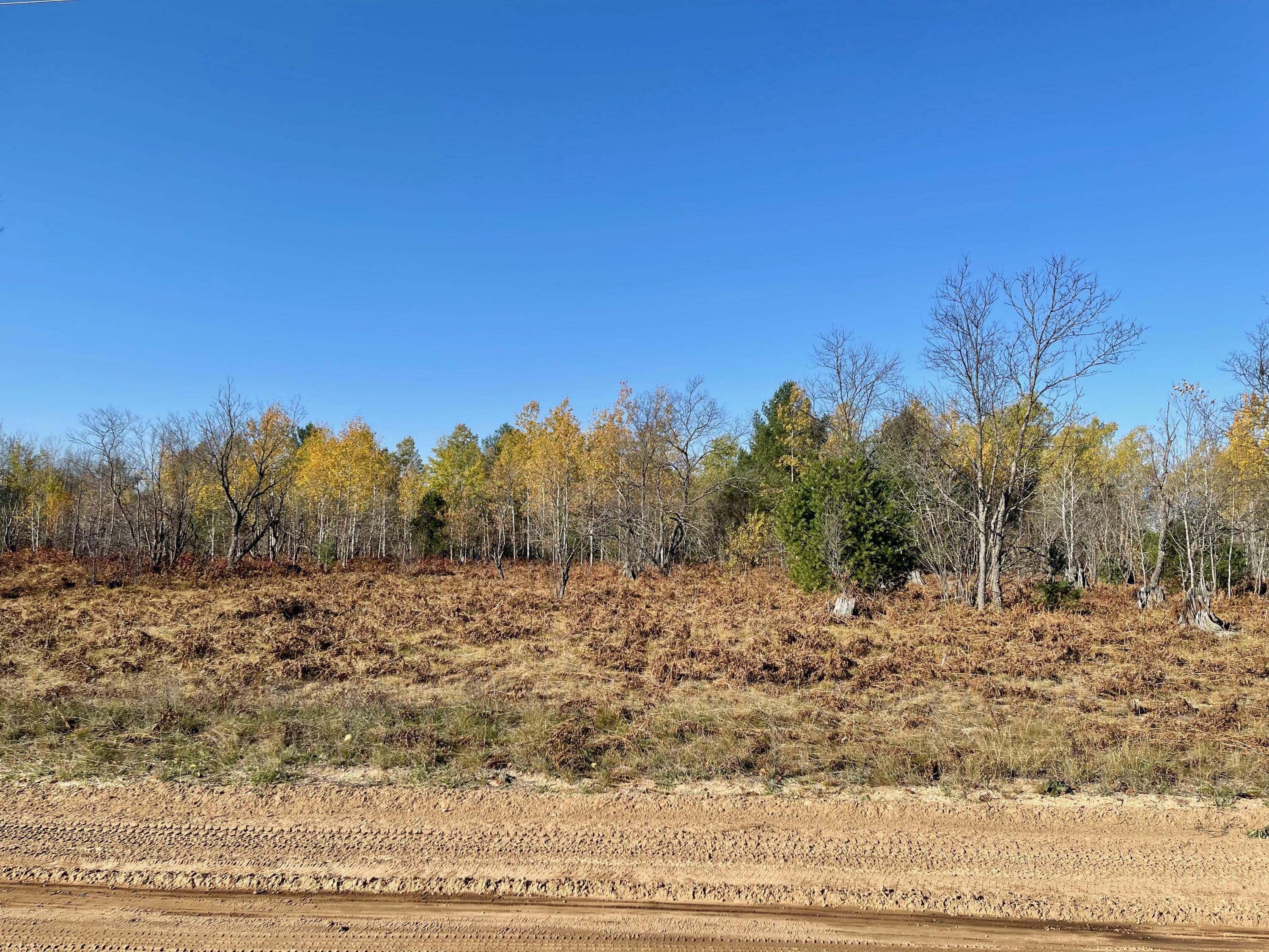 Property Photo:  Big Stump Trail  MI 49735 