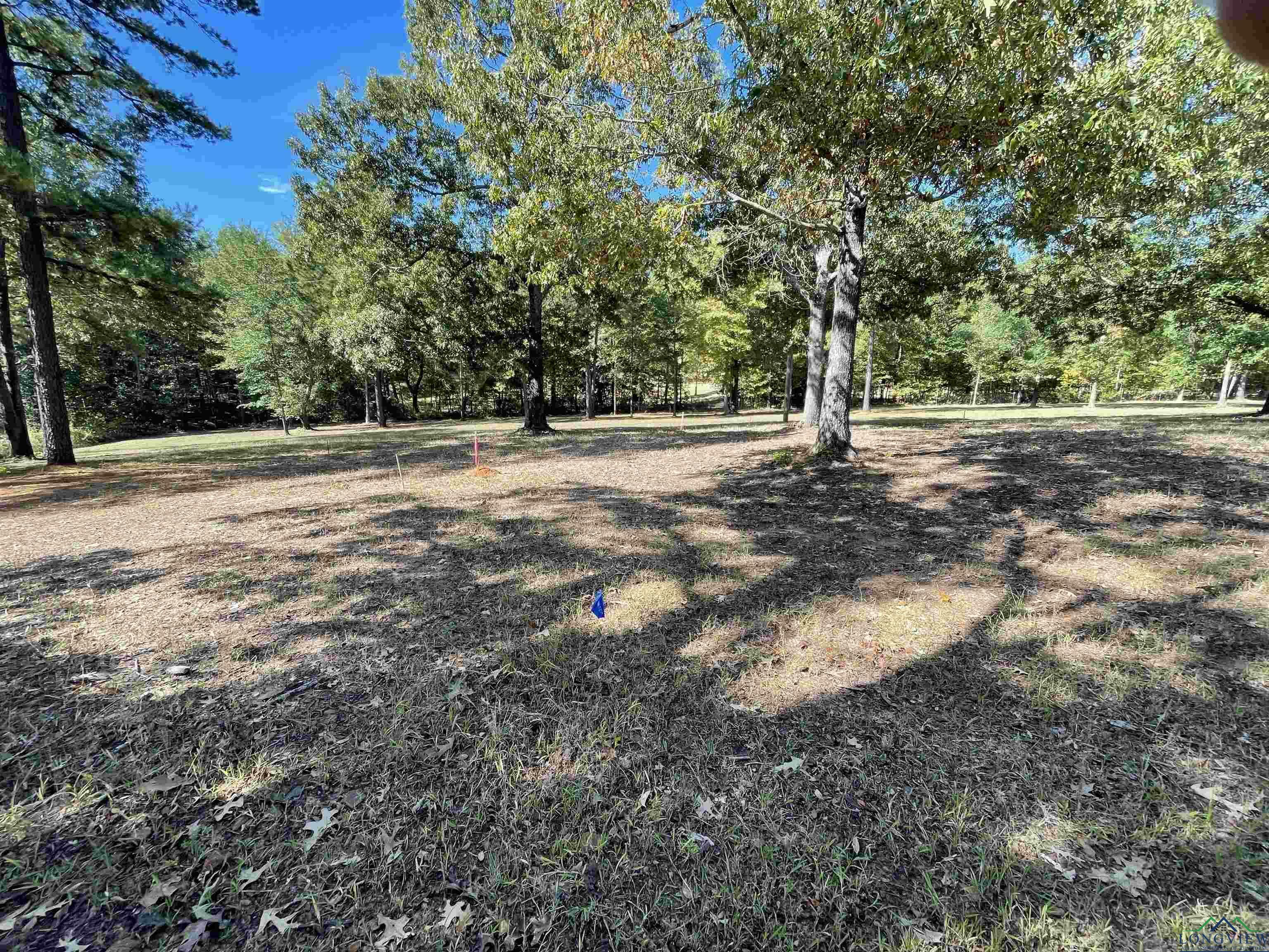 Property Photo:  Tbd Harvey Rd  TX 75662 