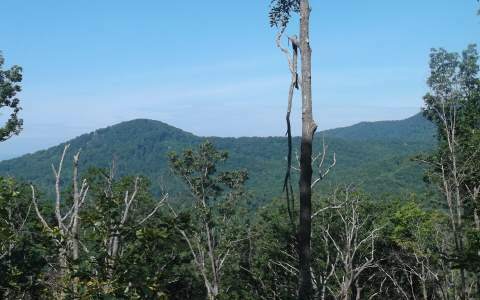 Property Photo:  Lot 9 Mutt Ridge  NC 28906 