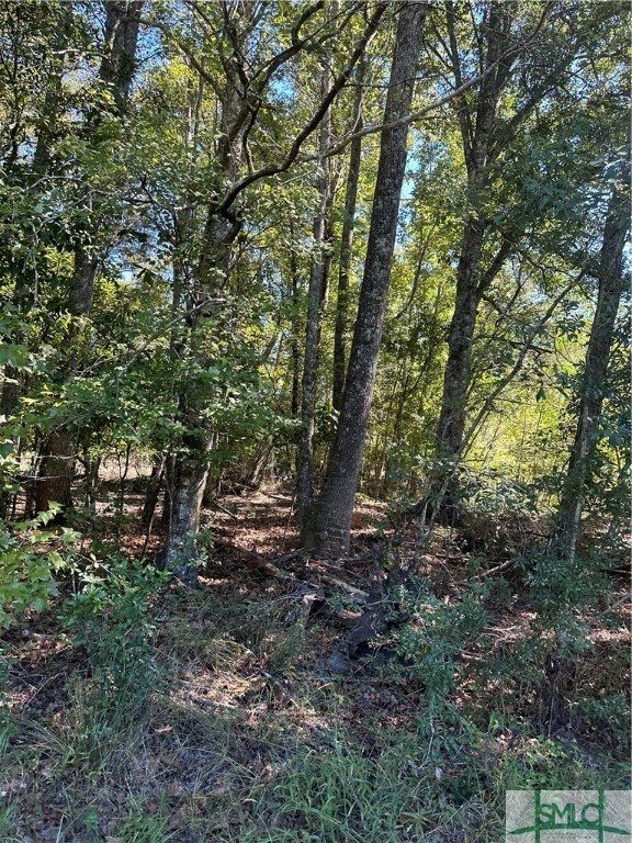 Property Photo:  1571 Shawnee Egypt Road  GA 31329 