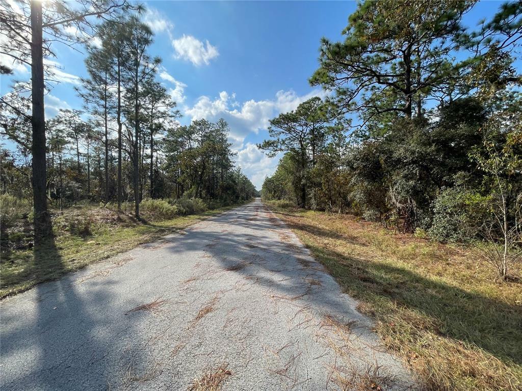 Property Photo: 0 NW Foxglove Lane FL 34431