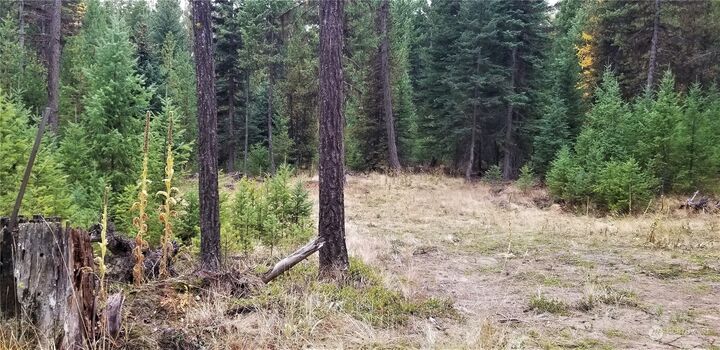 Property Photo:  152 Gardner Creek Road  WA 99166 