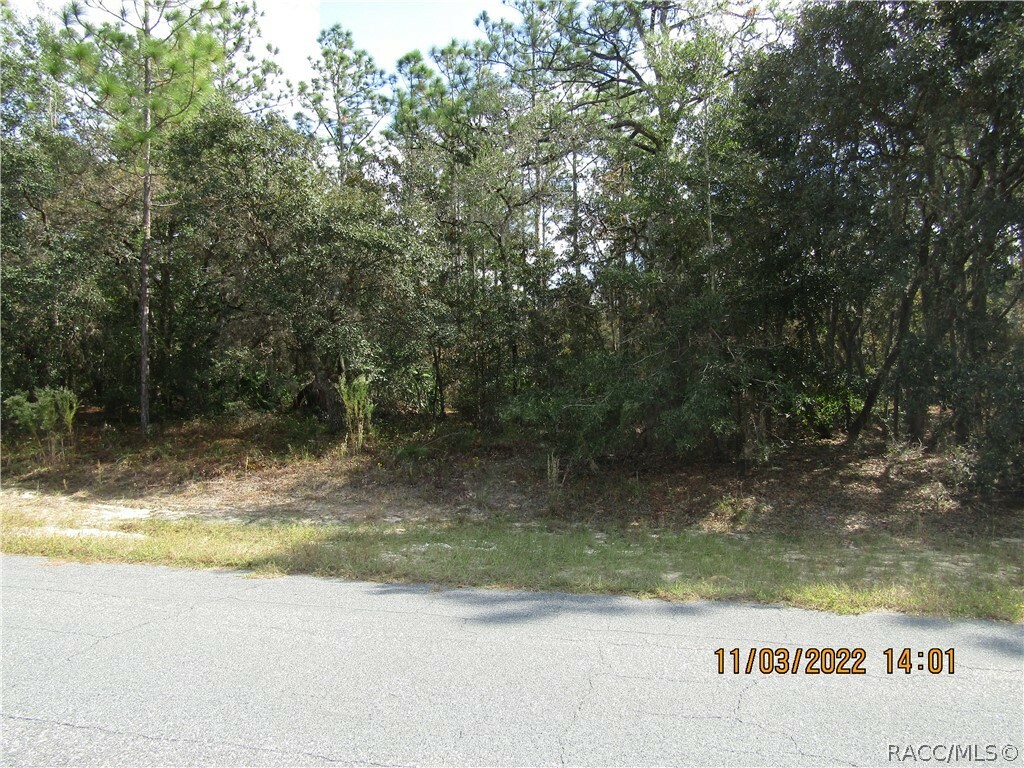 Property Photo:  3238 N Sheriff Drive  FL 34465 