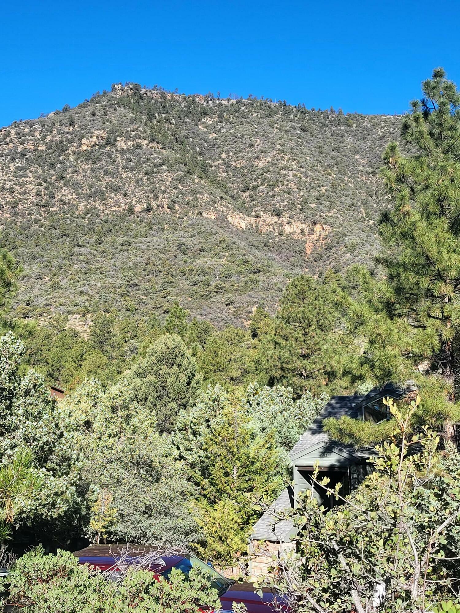 Property Photo:  Lot 163 Portal Drive  AZ 85544 