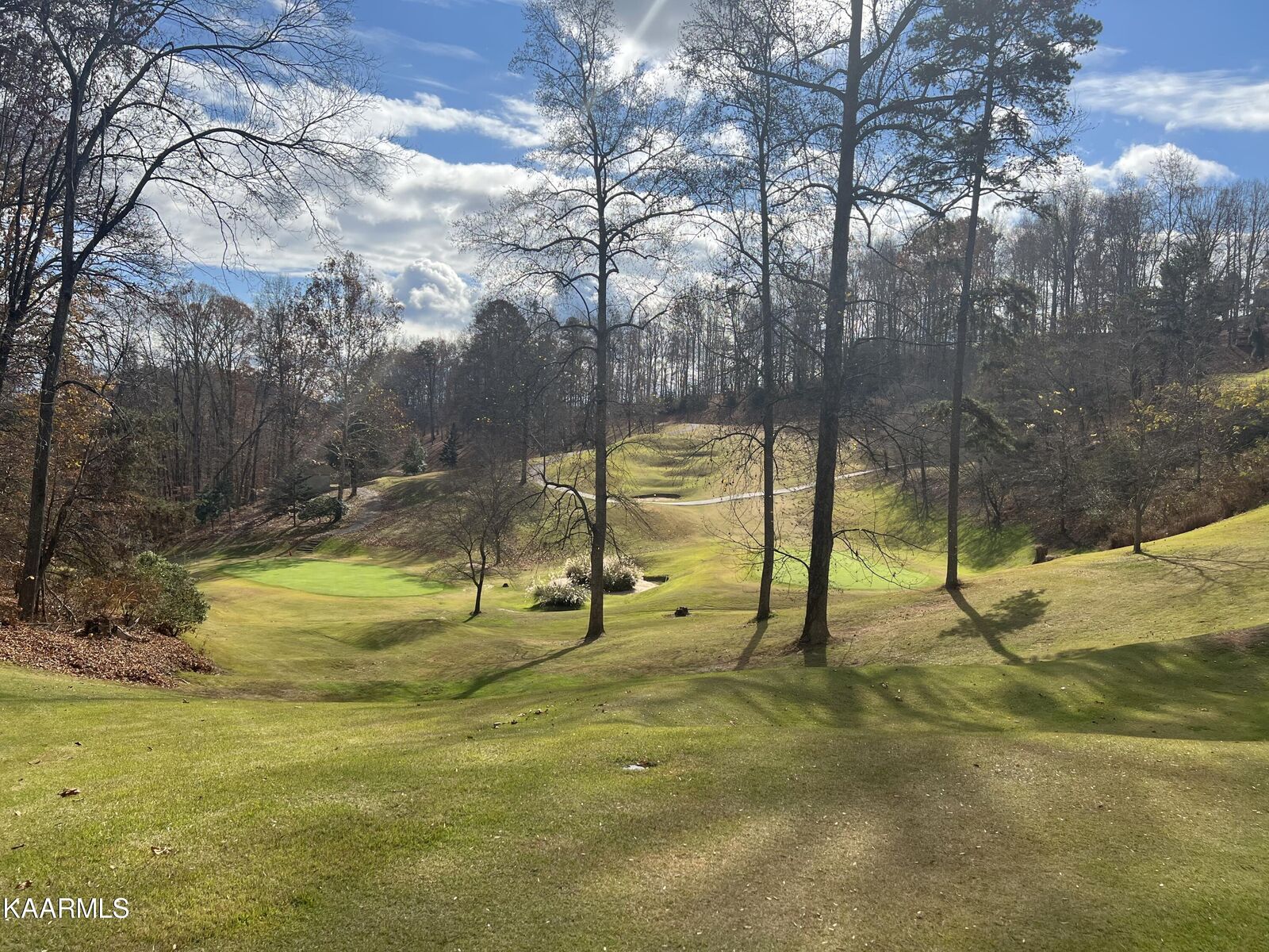 Property Photo:  Lot B Bobby Clampett Way  TN 37766 