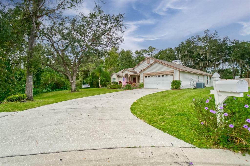 Property Photo: 4121 Silvermoon Drive FL 33566