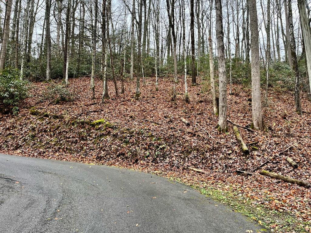 Property Photo:  Lot 31 C Highland Drive  TN 37738 