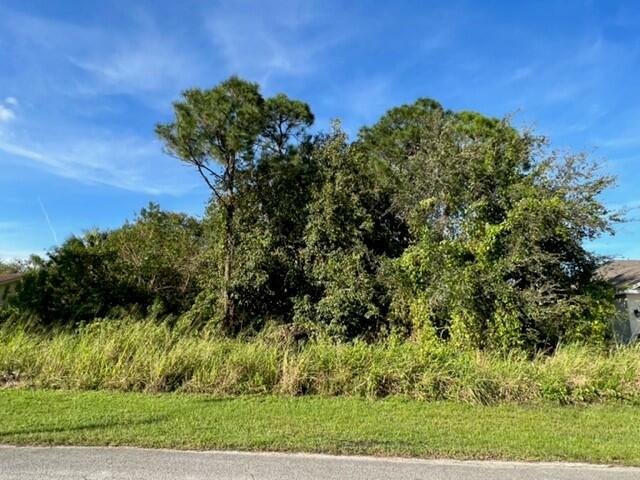 Property Photo:  1441 SW Goodman Avenue  FL 34953 