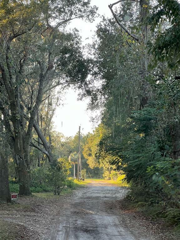 Property Photo: Harrelson Road FL 33810