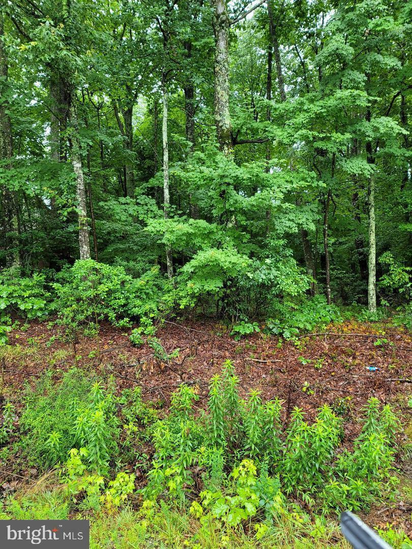 Property Photo: Lot 18 Matilda Lane VA 22520