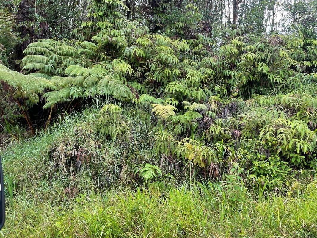 Property Photo:  Road 4  HI 96785 