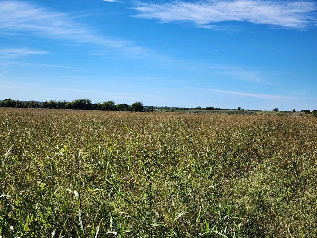 Property Photo: 905 Fm 3061 TX 76577