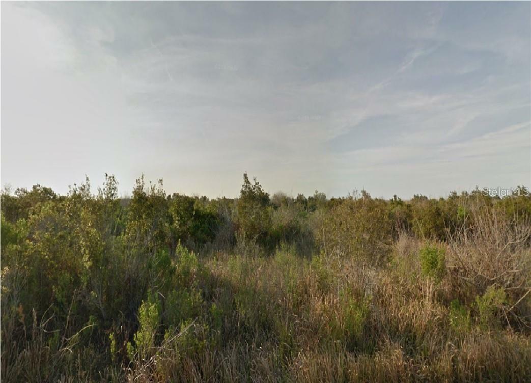 Property Photo: 981 Laika Road SW FL 32908