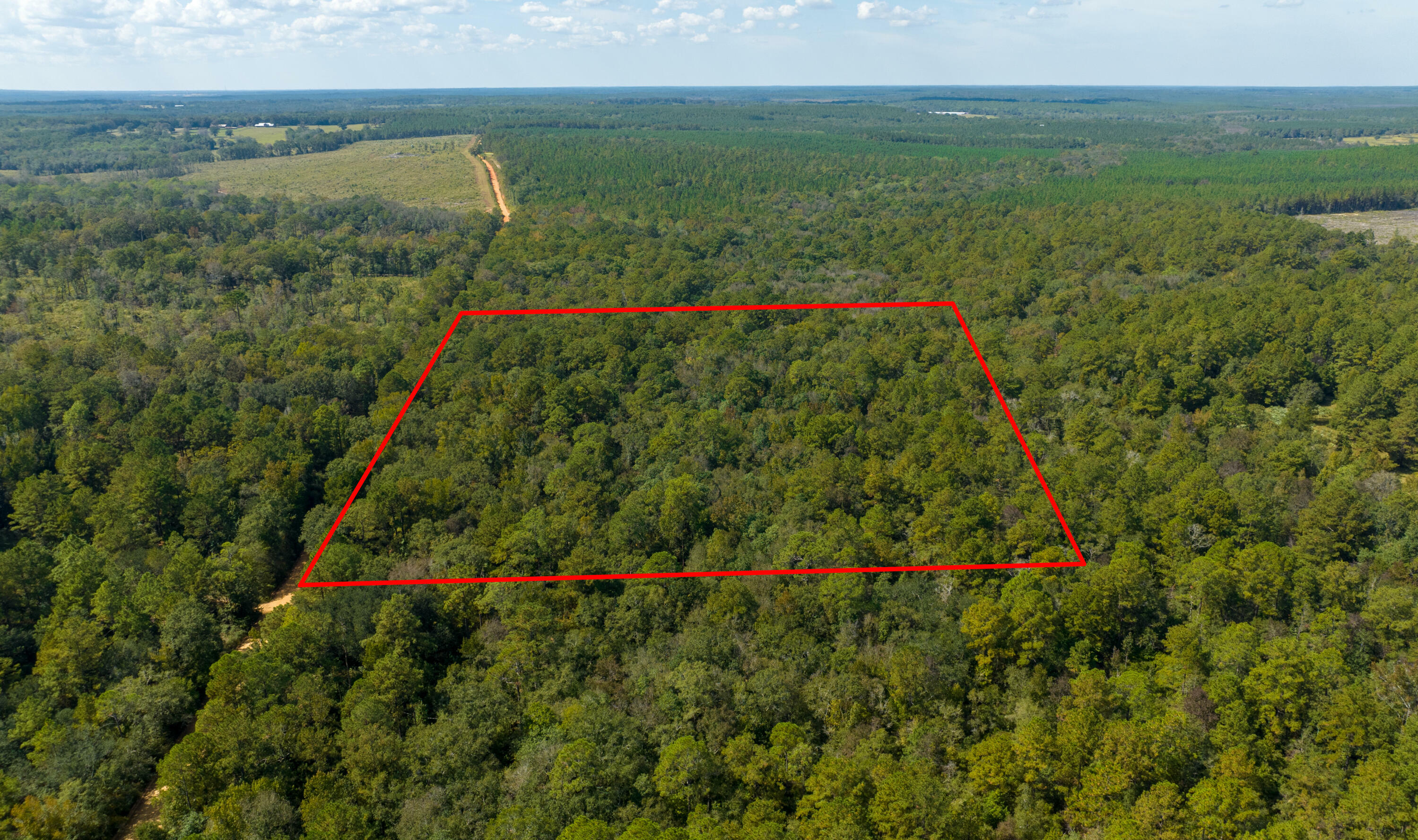 Property Photo:  Xxx Sandy Creek Road  FL 32455 