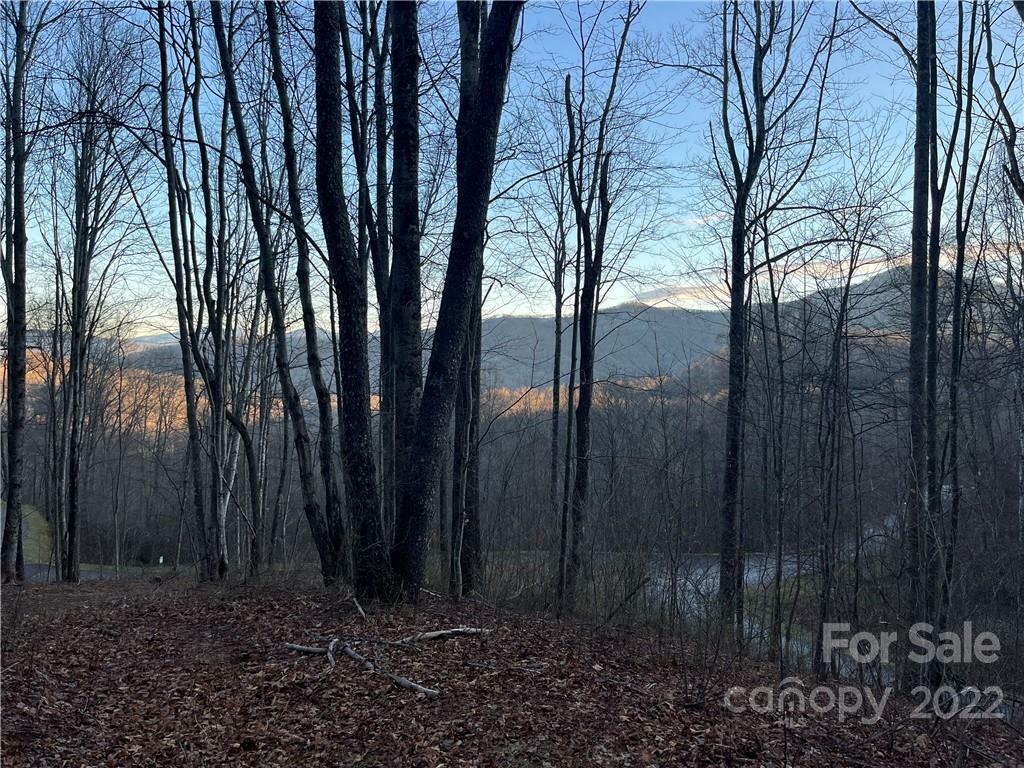 Lot 21 Mountain Watch Drive  Waynesville NC 28785 photo