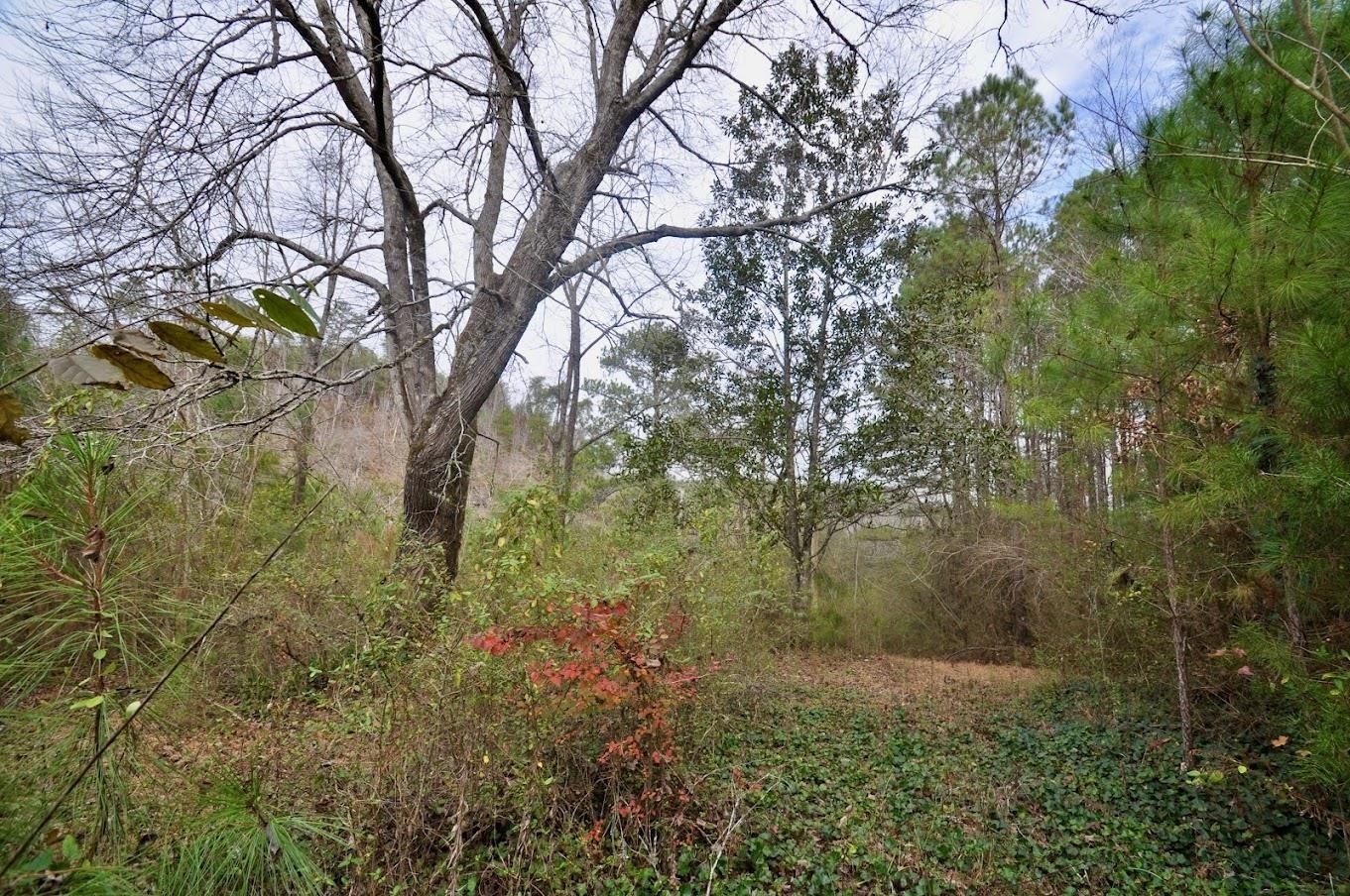 Property Photo:  0 Co Rd 565  AL 35077 