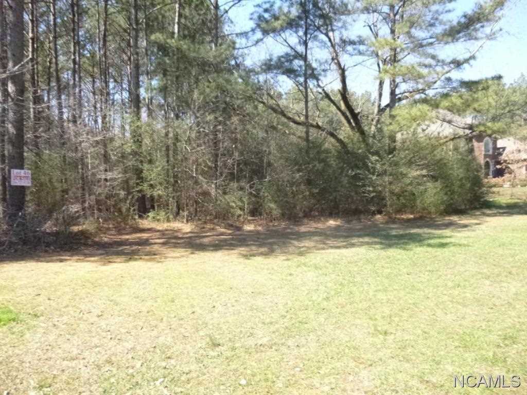 Property Photo:  00 Eastview Blvd  AL 35057 - CULLMAN 