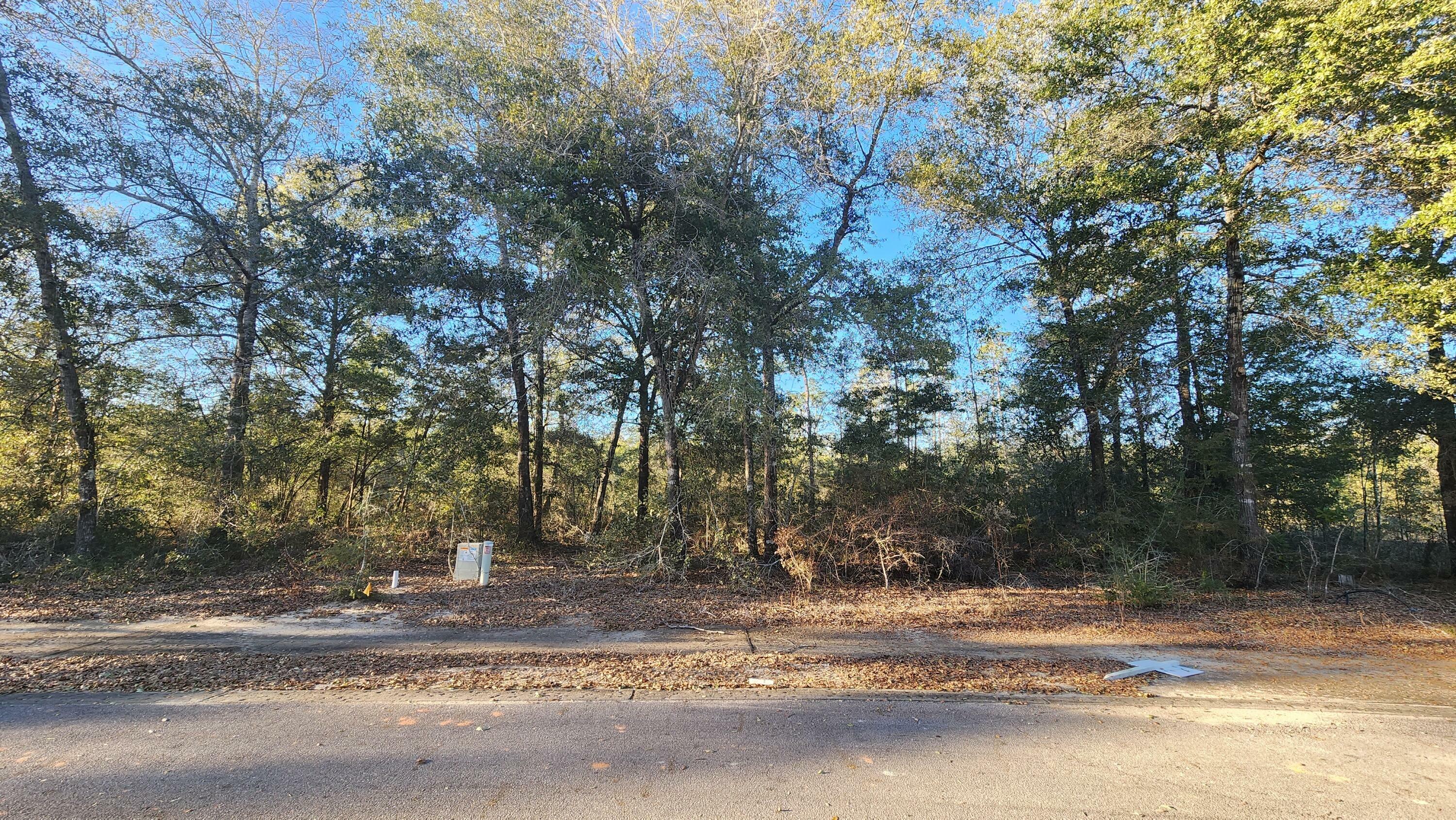 Property Photo:  Lot 11 Pfitzer Court  FL 32433 