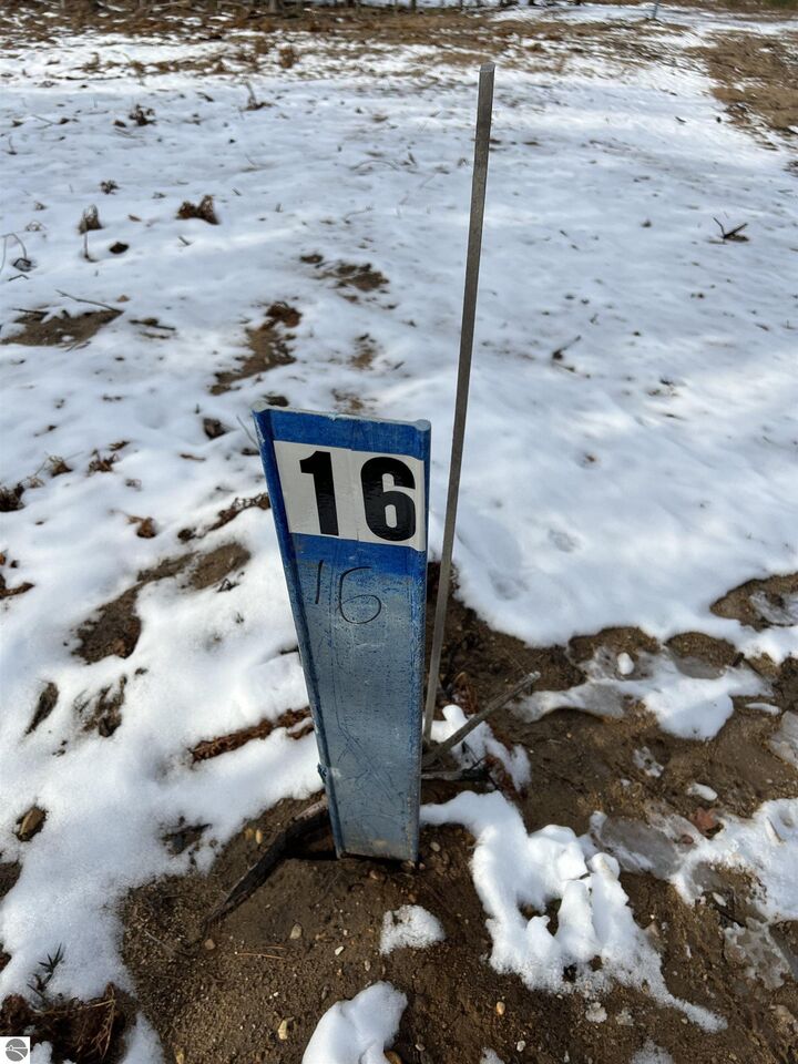 7980 NW Springwater Drive  Rapid City MI 49676 photo