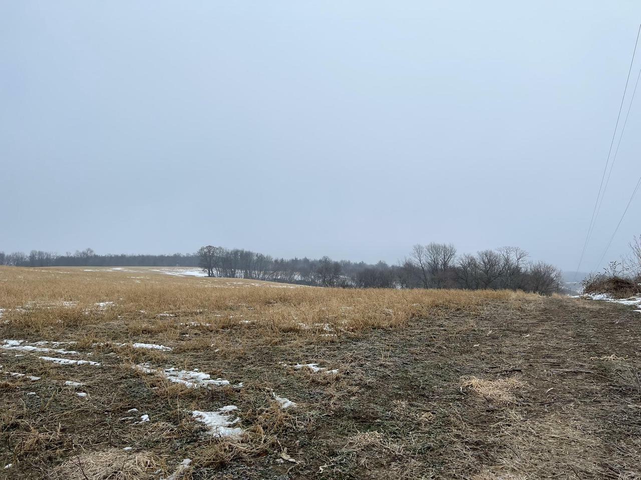 Property Photo:  40.82 Acres Hickory Ave  WI 54660 