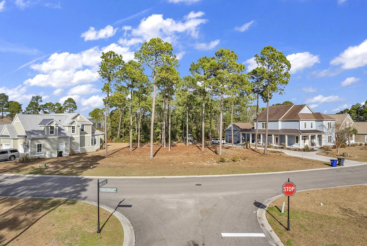 Property Photo:  1058 Fiddlehead Way  SC 29579 