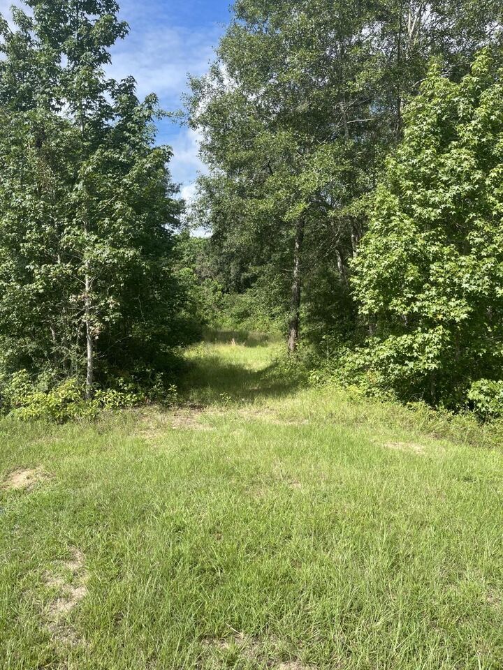 Property Photo:  8504 Austin Avenue  TX 77484 