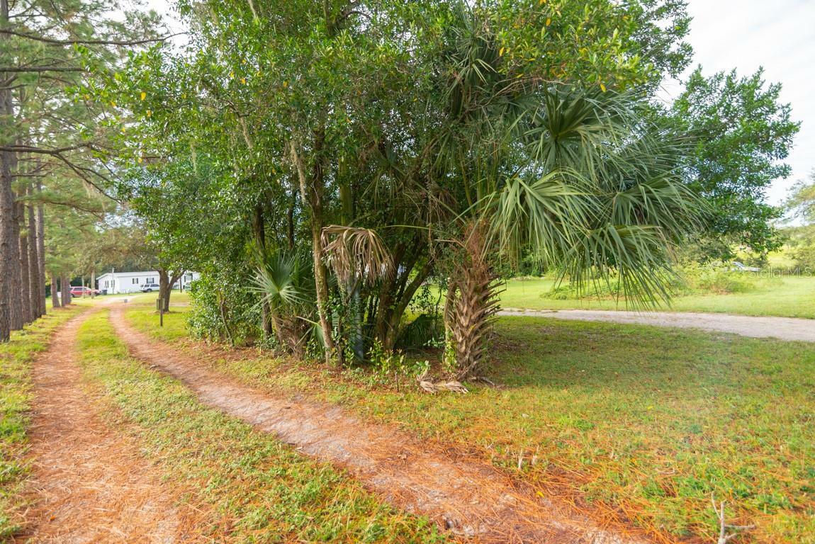 Property Photo:  9358 Harney Road  FL 33592 