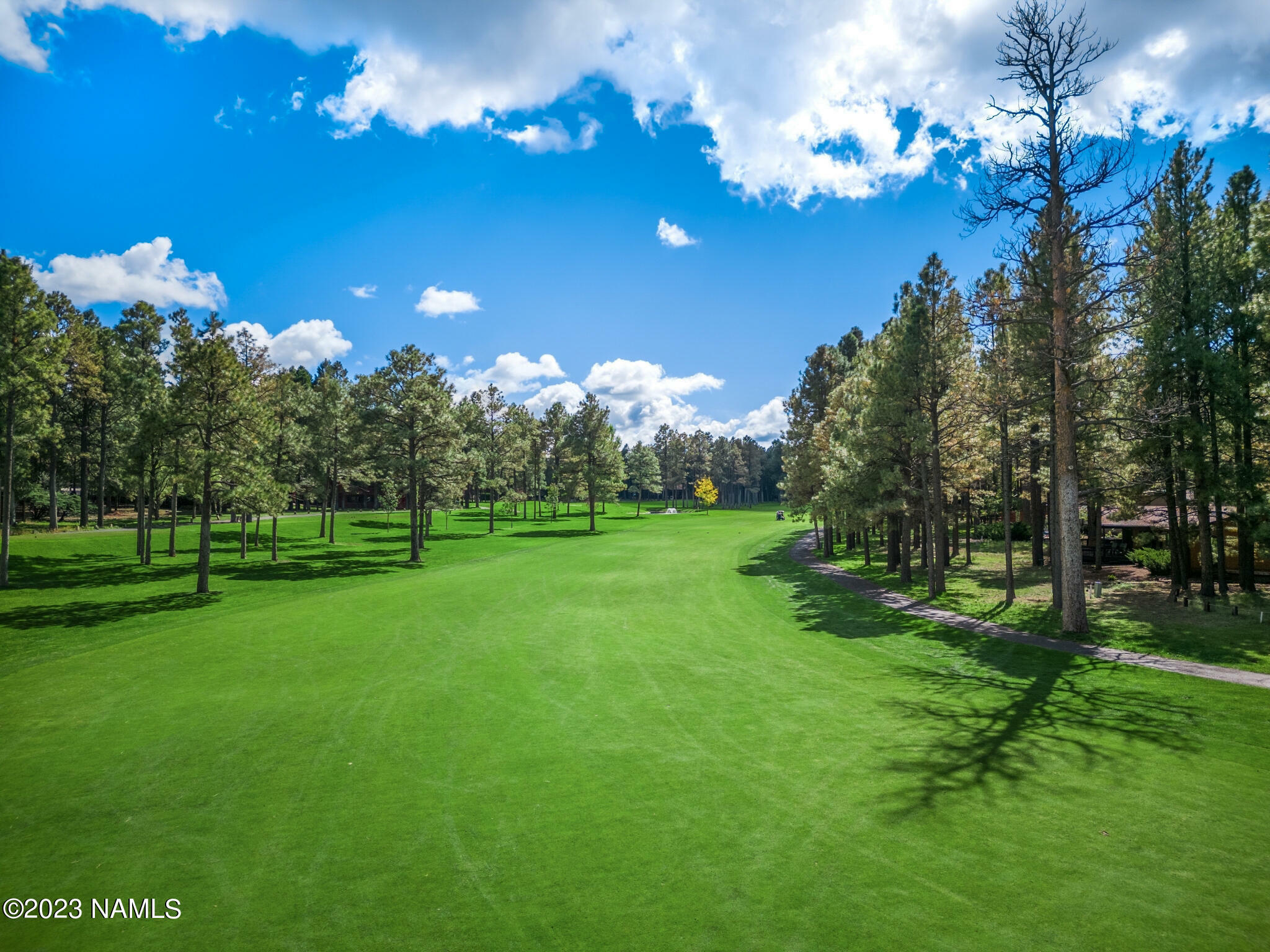 Property Photo:  1361 N Indian Springs Lane  AZ 86004 