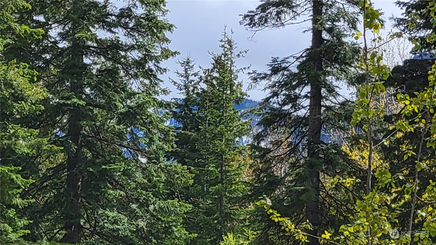 0 Filbert Road  Cle Elum WA 98922 photo