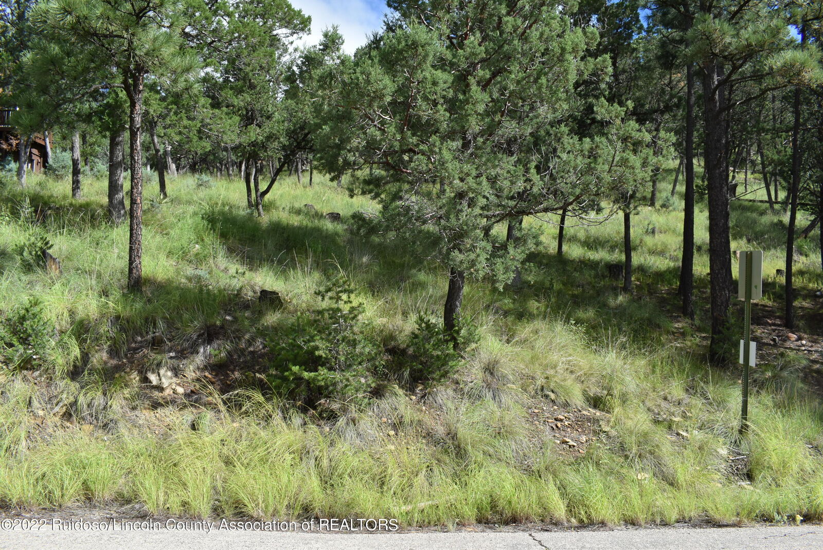 Property Photo:  Lot 15 Lake Shore Drive  NM 88312 