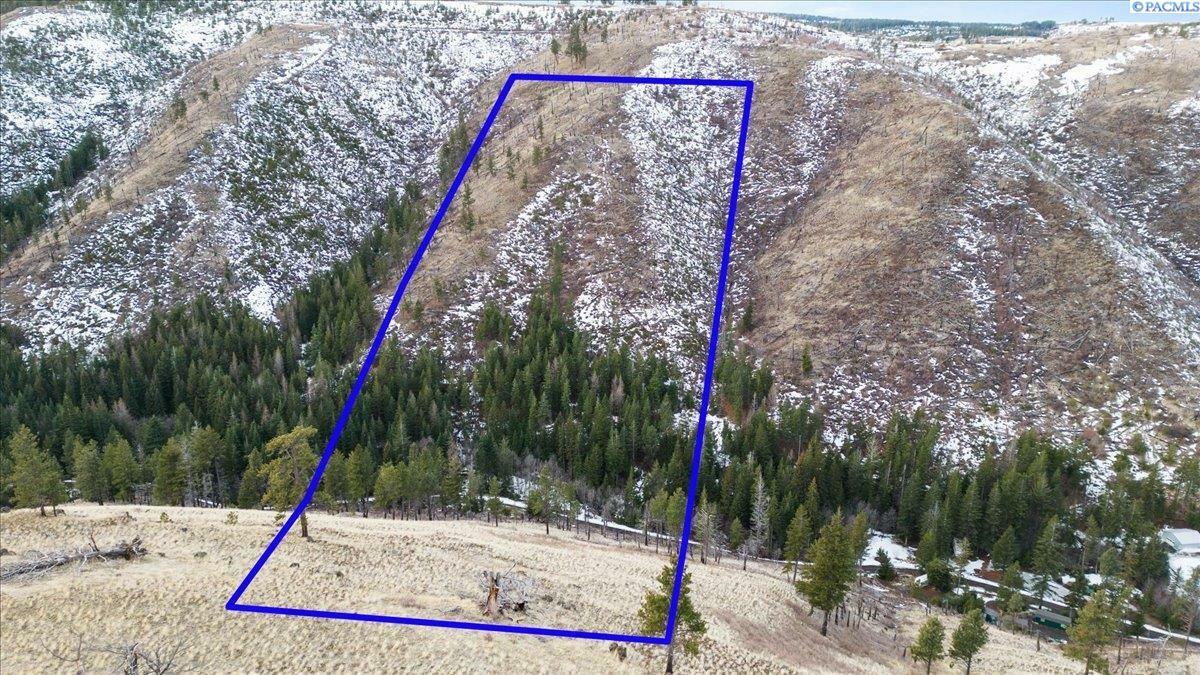 Property Photo: 1 Tbd Pataha Creek Road WA 99347