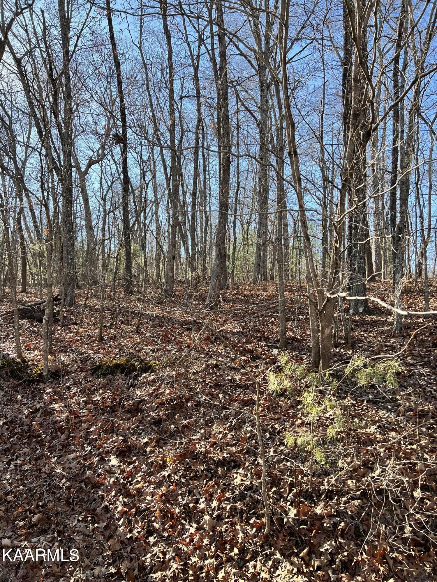 Property Photo:  104 Hunterwood Lane  TN 38558 