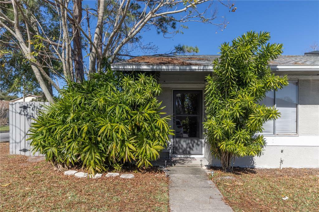 Property Photo:  1010 Dolphin Drive  FL 34787 